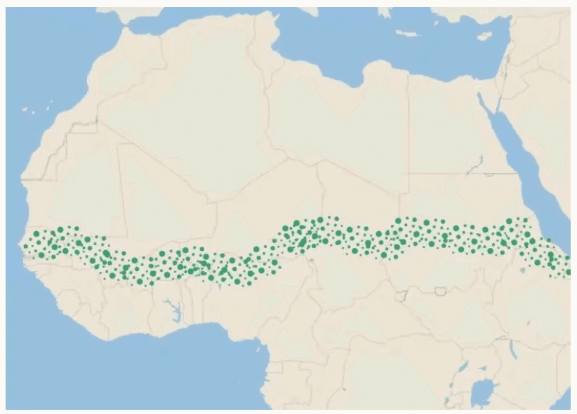 Afrika'nın çölleşmeye karşı 8 bin kilometrelik Yeşil Duvar projesi neden başarısız oldu?