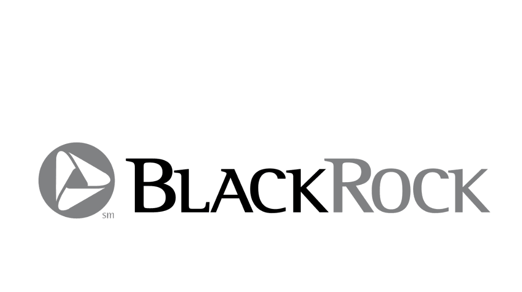 BlackRock Türkiye'den Çıktı: Yıl Başında Hisse Toplayan Dev Fon, Borsa İstanbul'daki Yatırımlarını Sıfırladı