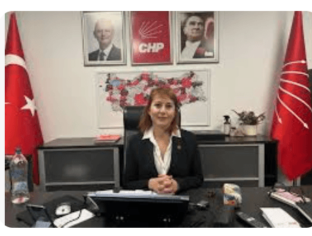 Güldem Atabay yazdı: İçerde dijital sıkı yönetim, dışarda S-400 ve AB’yle yeni arayışlar