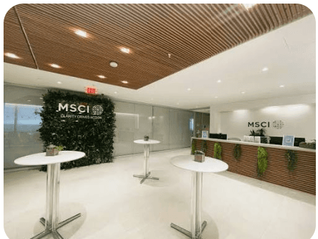 Özlem Derici Şengül: MSCI kararının önemi