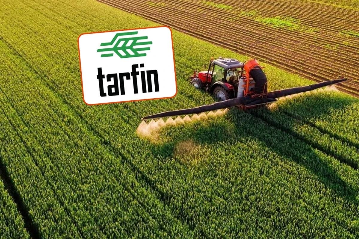 MKK'dan Son Dakika Açıklaması: Tarfin Tarım ve Alnus Yatırım'dan Ödeme Gelmedi