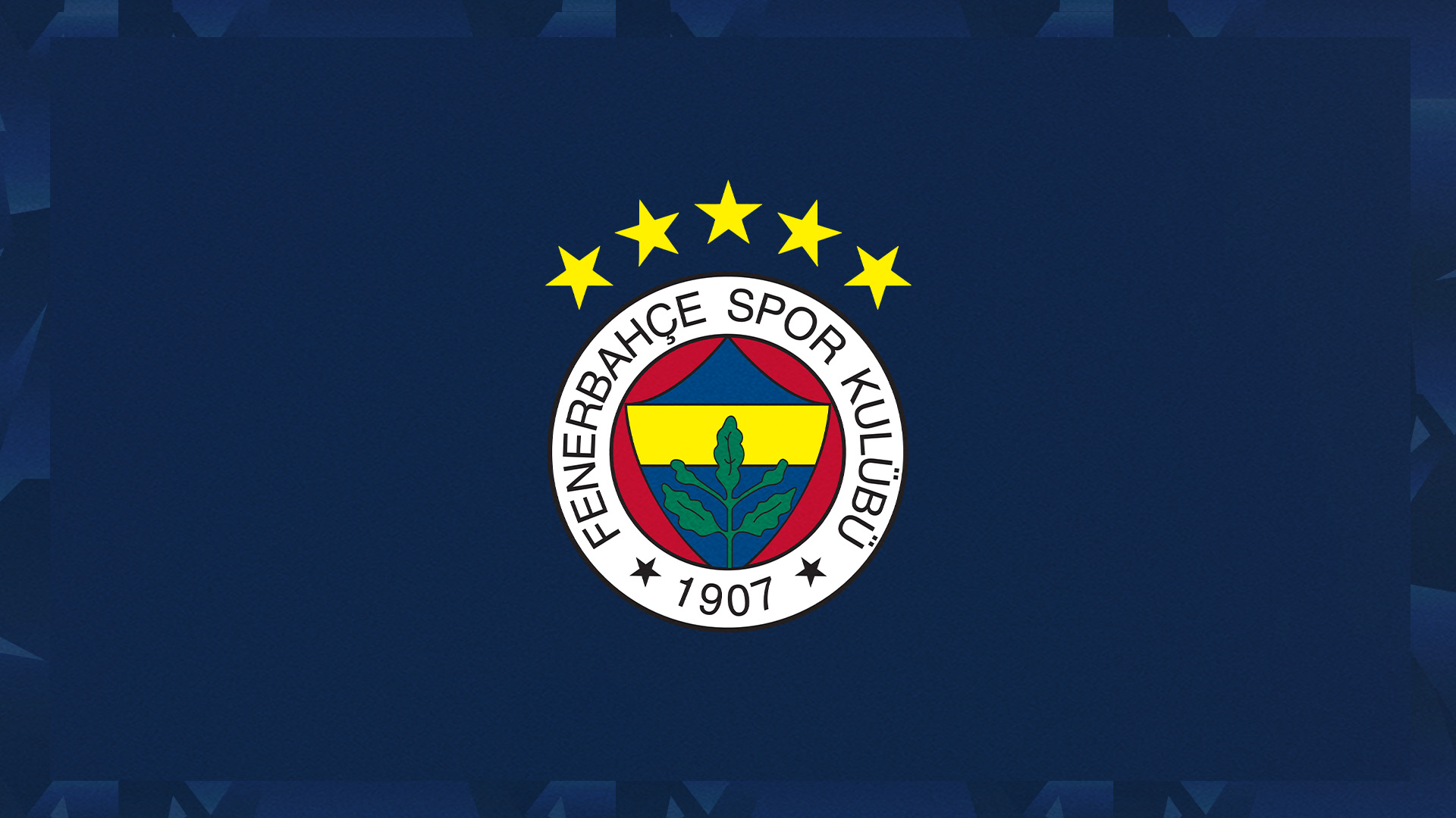Fenerbahçe Futbol AŞ, Borsa’da en fazla kazandıran spor şirketi oldu
