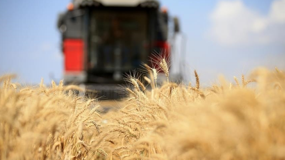 Küresel gıda fiyatlarında sınırlı gerileme