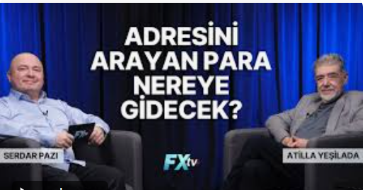 Atilla Yeşilada ve Serdar Pazı:    Adresini Arayan Para Nereye Gidecek?